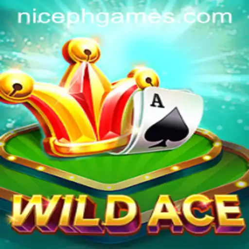 Exploring the Thrills of WildAce: A Fresh Take on Card Games